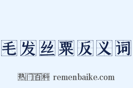 毛发丝粟反义词是什么意思的图片